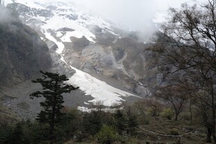 雪山山林景观