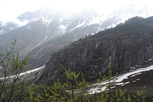 雪山下的山林风光