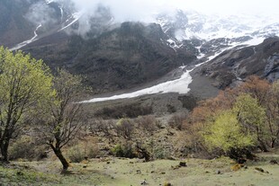 山间春景 残雪与新绿相映