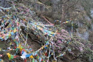 山间五彩经幡随风飘动