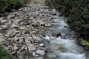 山间溪流穿石而过