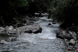 山间潺潺溪流图