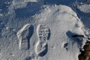 雪地上的清晰脚印