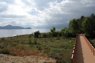 湖畔木栈道风景