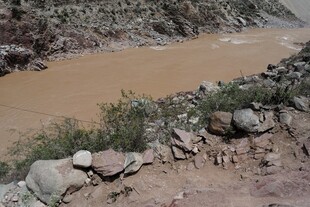 黄河边的岩石与绿植景观