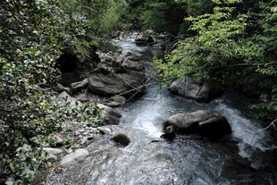 山间溪流 绿意环绕的美景