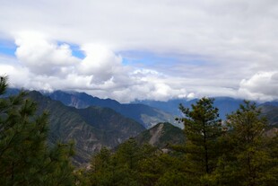 山间云景 葱郁林木