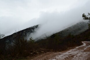 山间云雾缭绕的泥泞小道