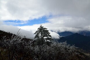 雪覆山林 云雾缭绕之景