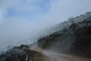 山间云雾缭绕的蜿蜒小路