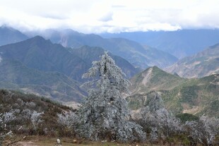 雪山旁的植被与壮丽山景