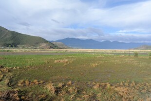 广袤田野与远山风景