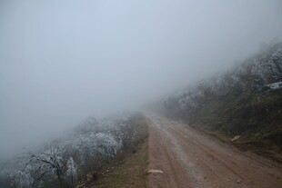 雾中蜿蜒的泥泞道路