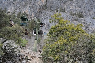 山间缆车穿行于繁茂植被间