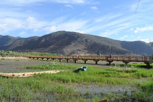 草原上的木桥与远山风景