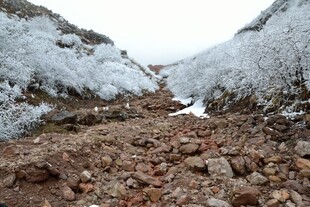 冰雪覆盖的山间碎石小道