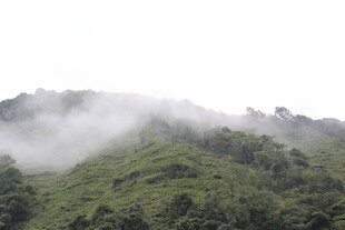 云雾缭绕的翠绿山峦