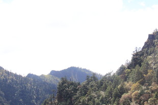 山峦叠翠间的自然美景