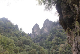 秀丽山峦绿意浓
