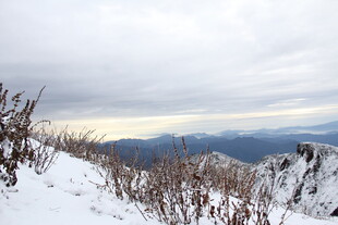 雪覆山峦 枯草挺立