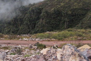 山间碎石地 云雾绕绿植