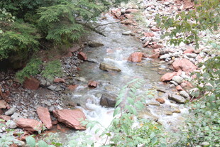 山间潺潺溪流