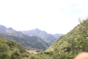 山间绿意景色