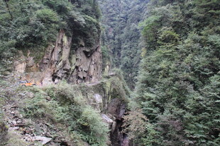 山间蜿蜒小路 绿意盎然