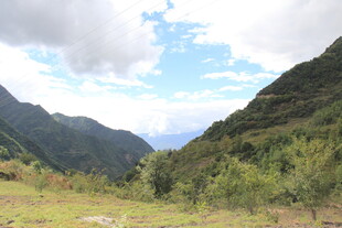 山间绿野风光