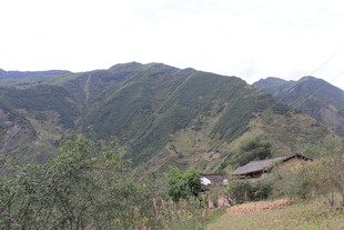 山间小屋隐于青山绿树间