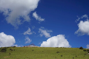 蓝天绿地间的美丽景致