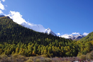 山林间的壮丽雪山景观