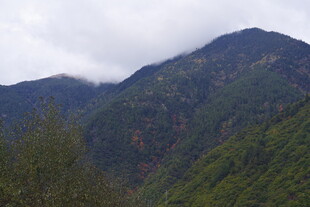 青山云雾间的自然美景