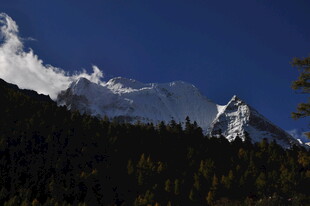 雪山森林壮丽风光
