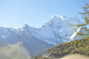 壮丽雪山与葱郁山林景观