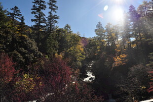 秋日山林阳光美景