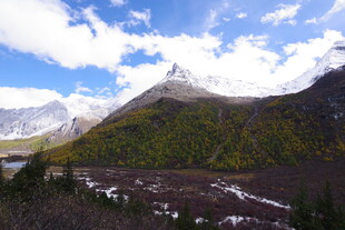雪山下的多彩山林景观