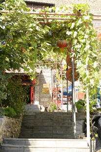 葡萄藤下的静谧石阶小院