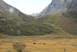 山间草原风光