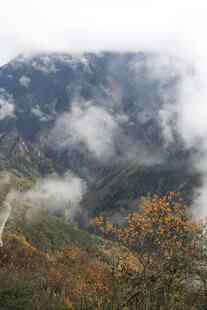 云雾缭绕的山间秋景