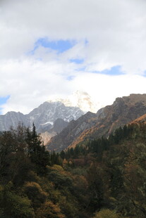 壮丽山景与多彩植被