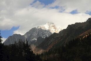 壮丽雪山与葱郁山林景观