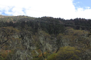山峦景色 植被覆盖的山坡