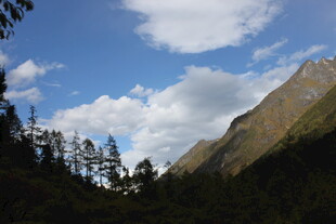 山间蓝天绿树美景