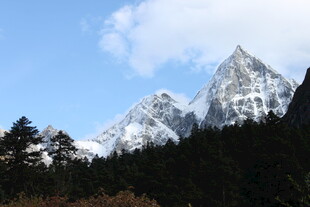 雪山巍峨 森林相伴