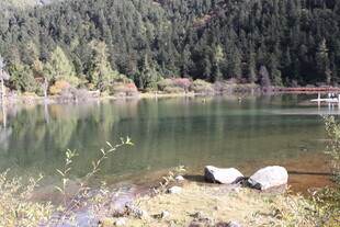 静谧山林中的清澈湖泊