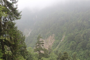 山间云雾缭绕的翠绿景致