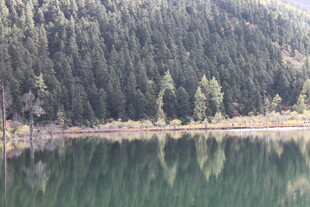 静谧山林旁的清澈湖水