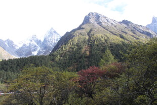 秀丽山峦间的多彩植被