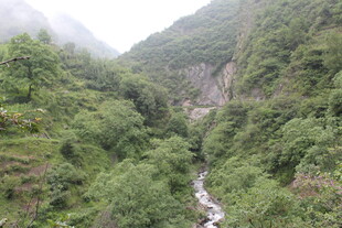 山间翠绿溪流景观